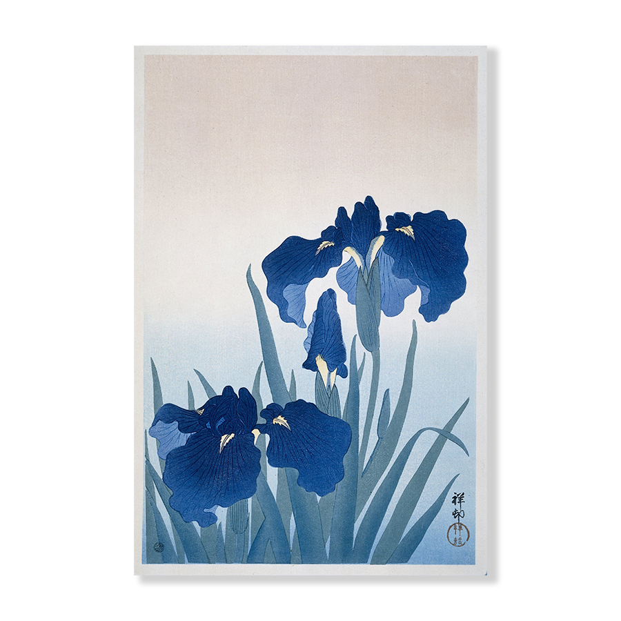 Ohara Koson: "Irises"