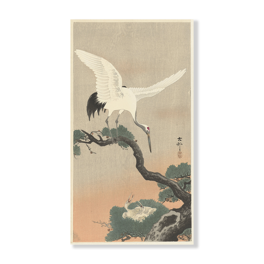 Ohara Koson: "Japanese Common Crane on Branch of Pine"