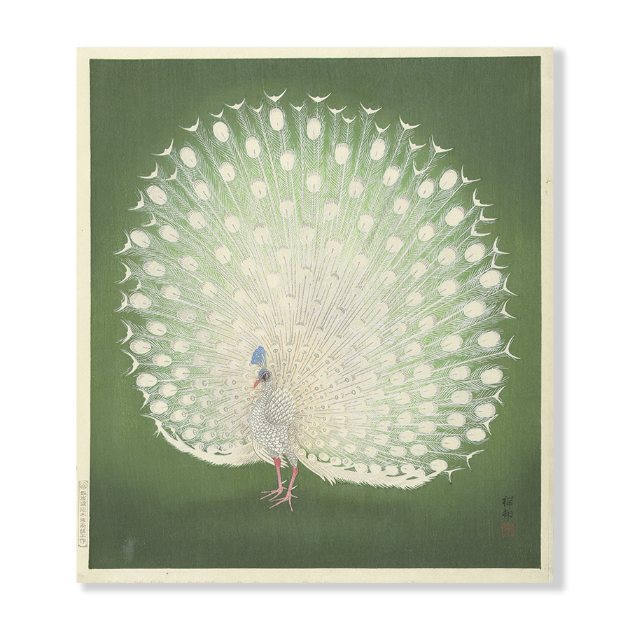 Ohara Koson: "Peacock"