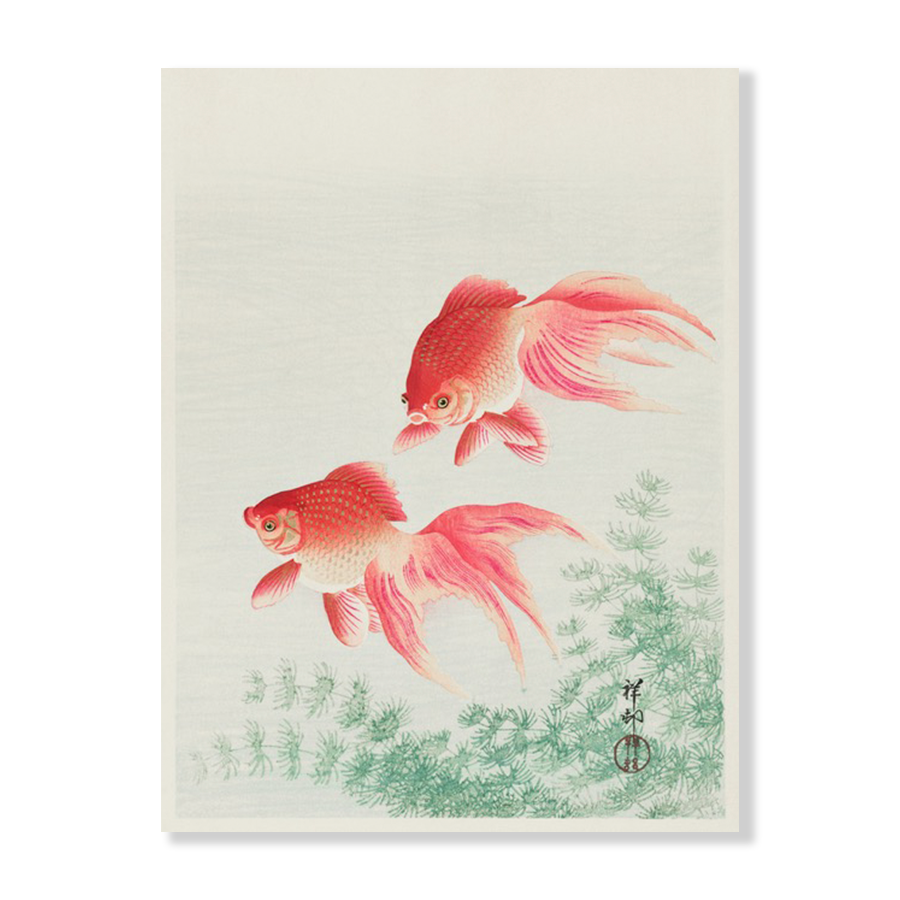 Ohara Koson: "Two Veil Goldfish" (1926)