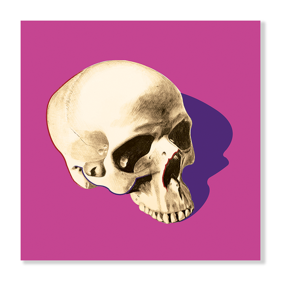 POP SKULL IV