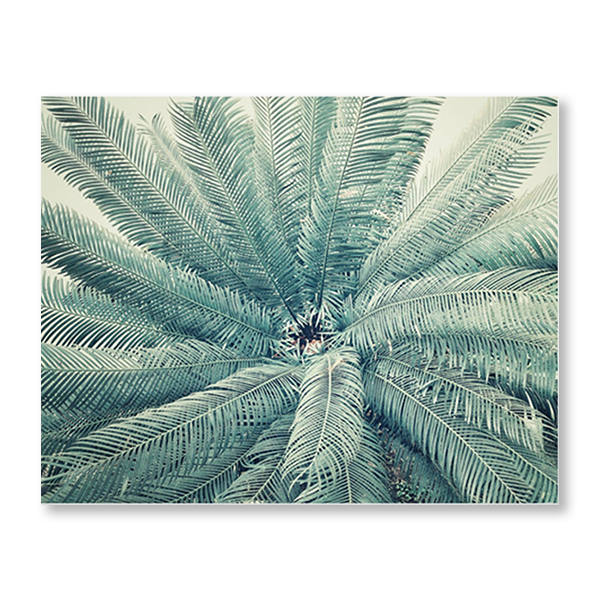 Palm Tree Fan